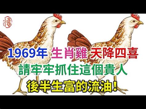 1969年屬雞運勢|【1969生肖】屬雞人2023運勢全攻略！1969年54歲生肖雞每月運。